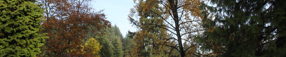 Heritage In The Woods